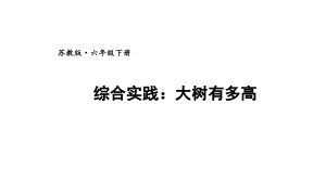 苏教版六年级下册数学第六单元综合实践《大树有多高》课件（公开课）.pptx