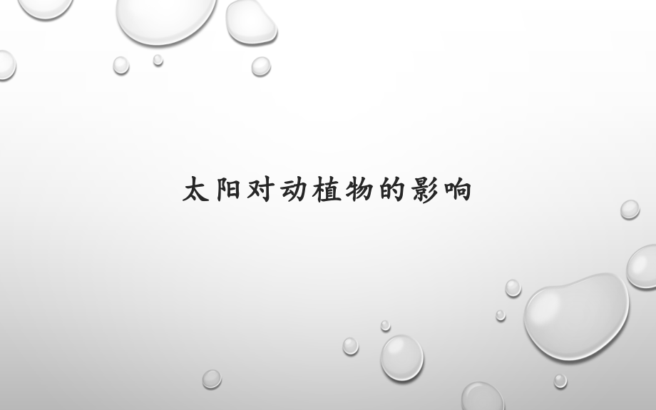 3.2太阳对动植物的影响（ppt课件11ppt+教案）-2024新大象版一年级下册《科学》.rar