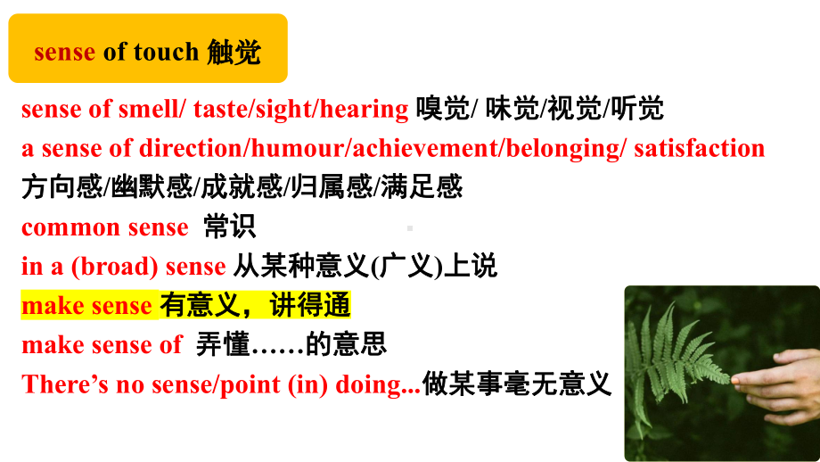 Unit 5 First Aid Word Study（ppt课件）-2024新人教版（2019）《高中英语》选择性必修第二册.pptx_第3页