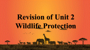 Unit 2 Wildlife Protection野生动植物保护一轮复习（ppt课件）-2023新人教版（2019）《高中英语》必修第二册.pptx