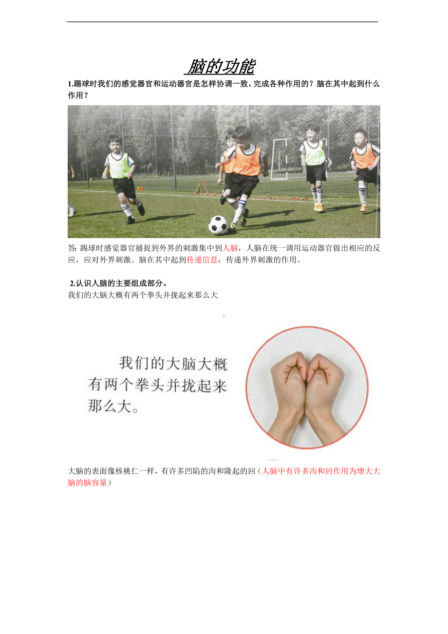 3.9《脑的功能》知识梳理-2024新人教鄂教版五年级下册《科学》.doc_第1页