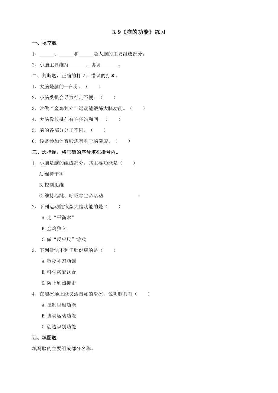 3.9《脑的功能》练习（含答案）-2024新人教鄂教版五年级下册《科学》.doc_第1页