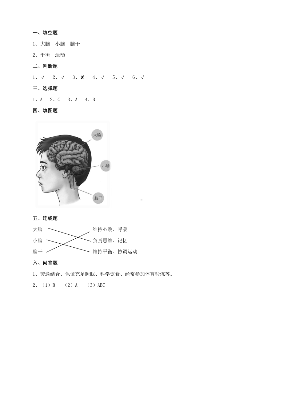 3.9《脑的功能》练习（含答案）-2024新人教鄂教版五年级下册《科学》.doc_第3页