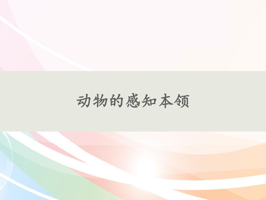 9动物的感知本领(共16张PPT)（ppt课件）-2024新人教鄂教版二年级下册《科学》.pptx_第1页