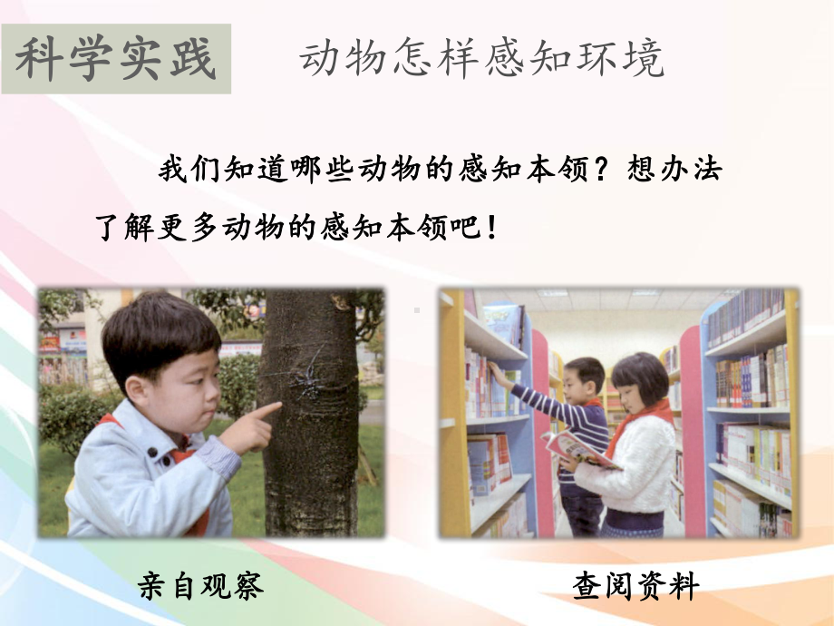 9动物的感知本领(共16张PPT)（ppt课件）-2024新人教鄂教版二年级下册《科学》.pptx_第3页