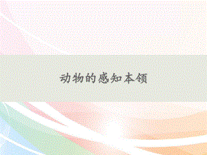 9动物的感知本领(共16张PPT)（ppt课件）-2024新人教鄂教版二年级下册《科学》.pptx