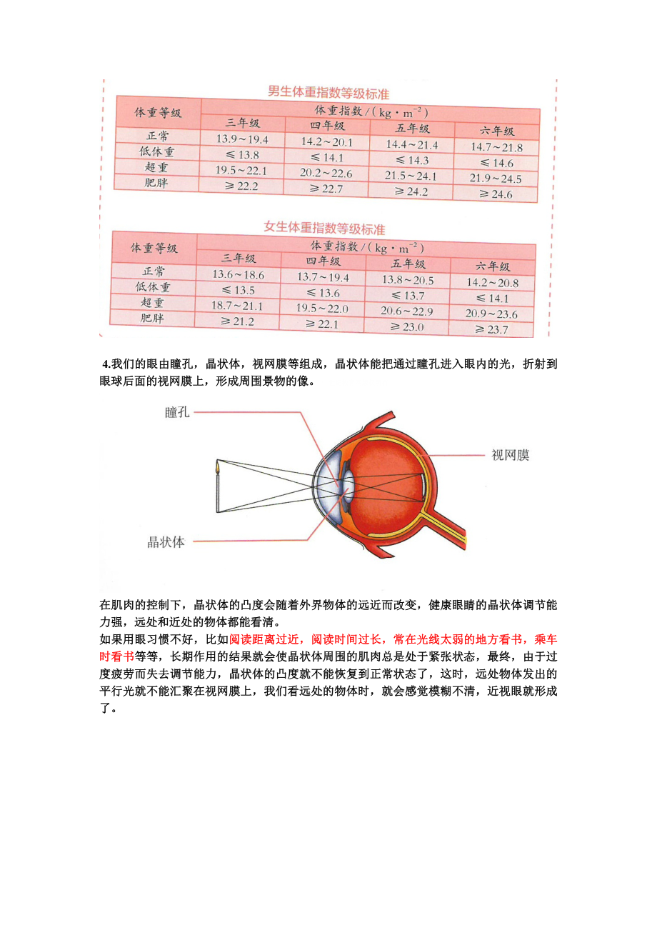 3.10《保护我们的身体》知识梳理-2024新人教鄂教版五年级下册《科学》.doc_第2页