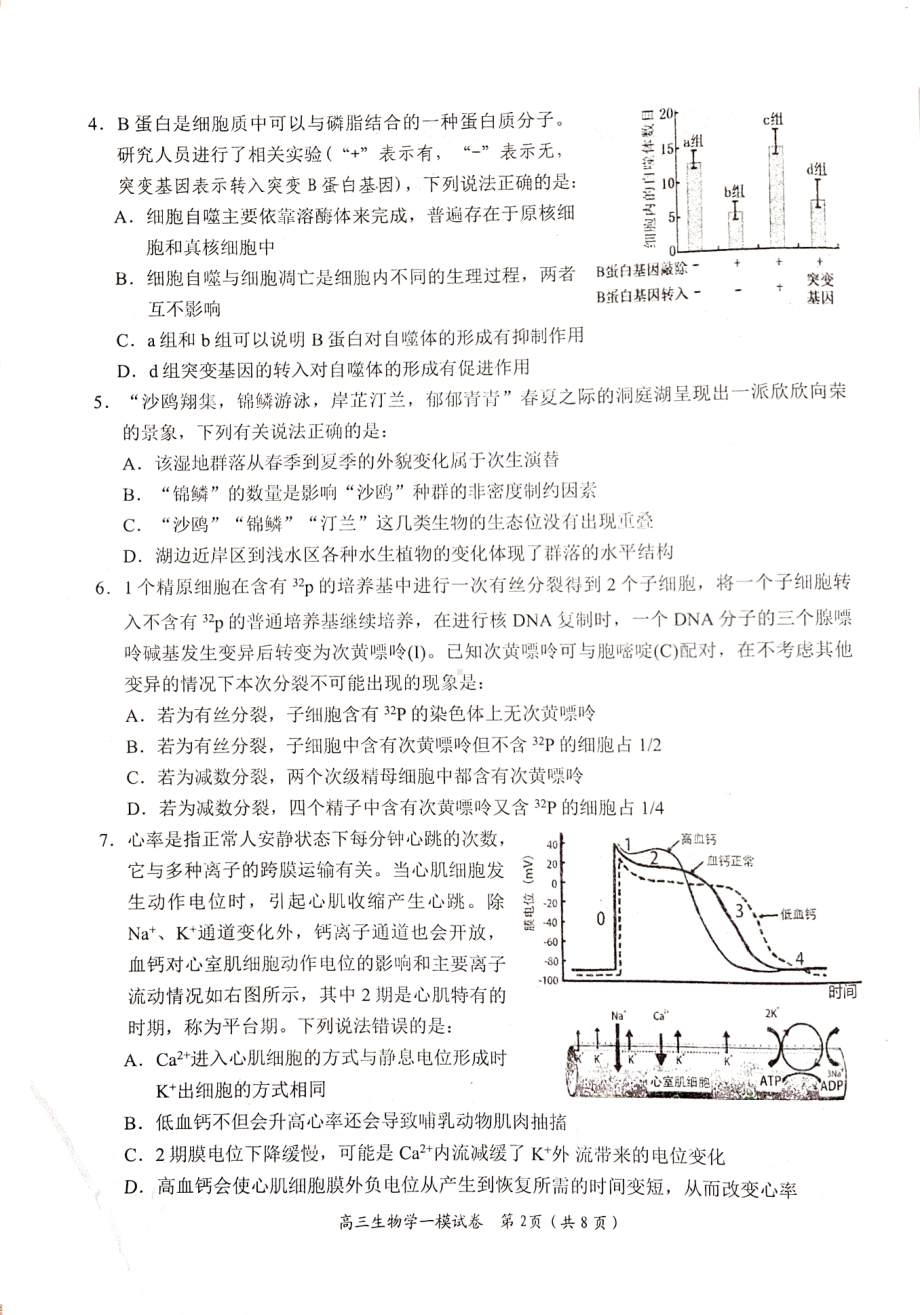 湖南省岳阳市2024届高三第一次教学质量监测生物试卷及答案.pdf_第2页