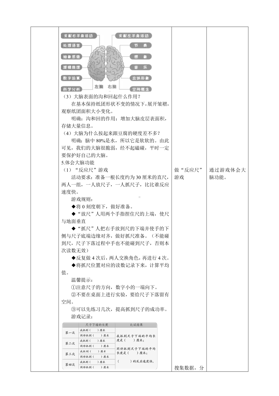 3.9《脑的功能》 教案-2024新人教鄂教版五年级下册《科学》.doc_第2页