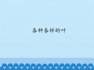 1各种各样的叶 ppt课件-2024新人教鄂教版一年级下册《科学》.pptx