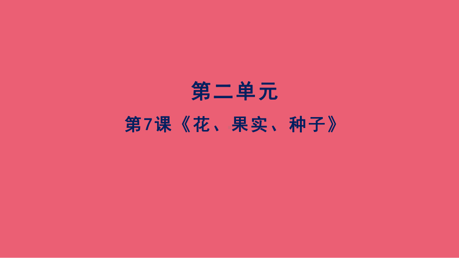 7《花、果实、种子》(共13张PPT)（ppt课件）-2024新人教鄂教版三年级下册《科学》.pptx_第1页