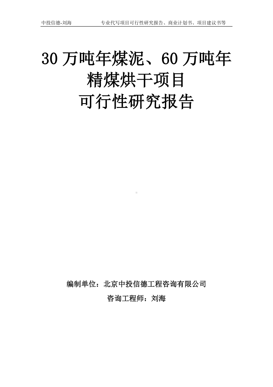 30万吨年煤泥、60万吨年精煤烘干项目可行性研究报告模板-备案审批.doc_第1页