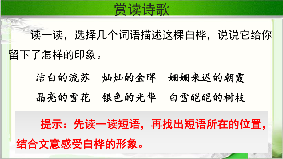 《白桦》第二课时示范课教学PPT课件（部编人教版四年级语文下册）.pptx_第3页