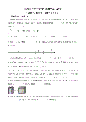 江苏扬州市育才小学2022-202六年级下册数学期末试卷及答案.docx