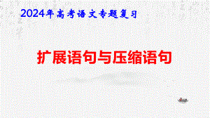 2024年高考语文专题复习：扩展语句与压缩语句 课件47张.pptx