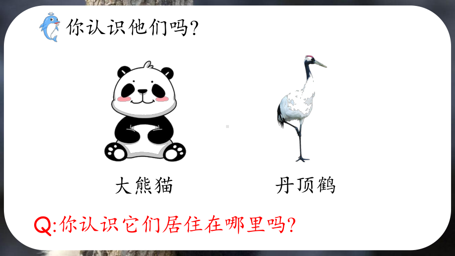 1.1动物的家园 ppt课件(共21张PPT)-2024新大象版六年级下册《科学》.pptx_第3页