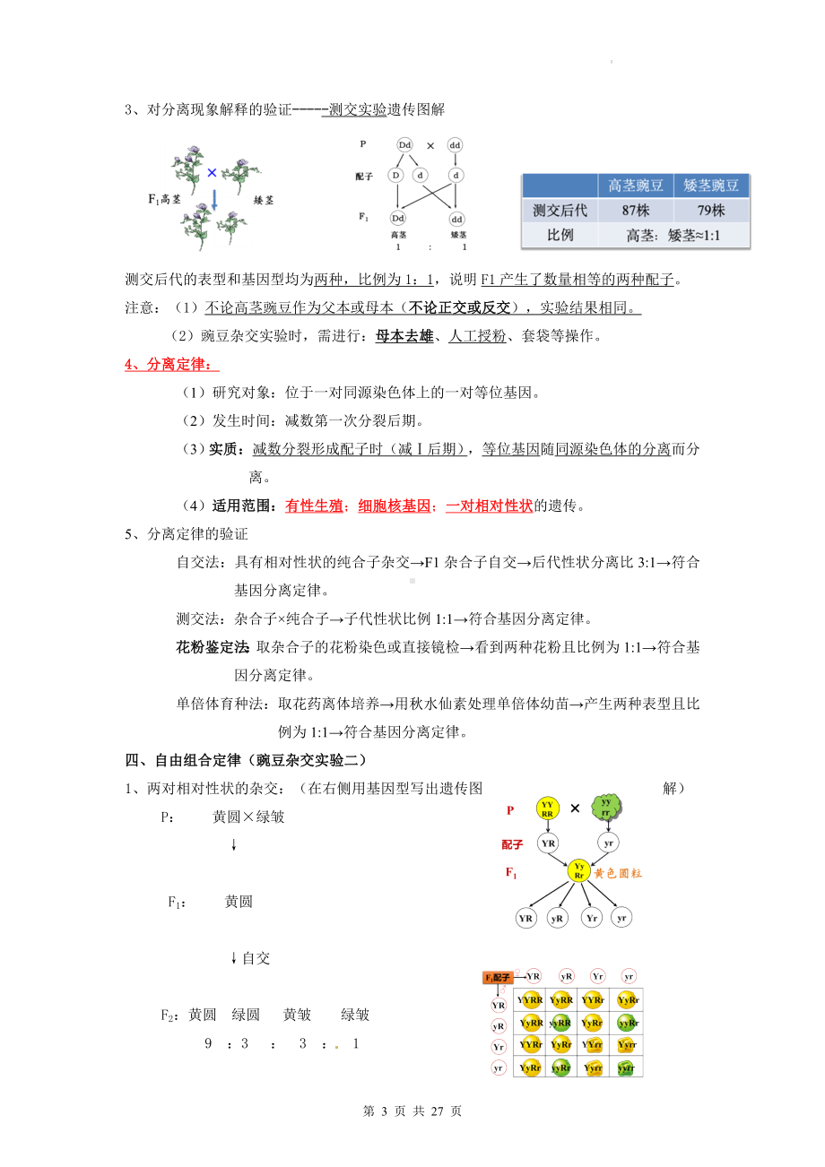 人教版（2019）高中生物必修2《遗传与进化》知识点提纲（实用必备！）.docx_第3页