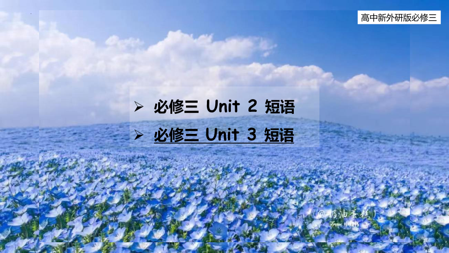 Unit 2 - Unit 3 短语（ppt课件）-2024新外研版（2019）《高中英语》必修第三册.pptx_第1页