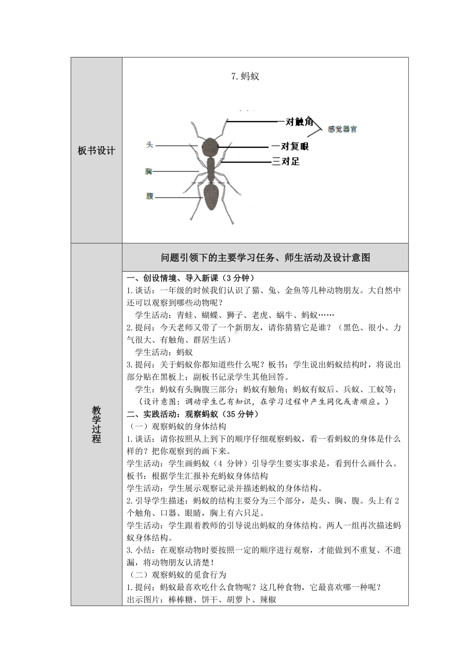 第7课《蚂蚁》教案（表格式）-2024新人教鄂教版二年级下册《科学》.docx_第2页