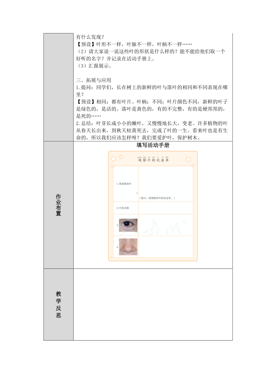 第1课《各种各样的叶》教案（表格式 ）-2024新人教鄂教版一年级下册《科学》.docx_第3页