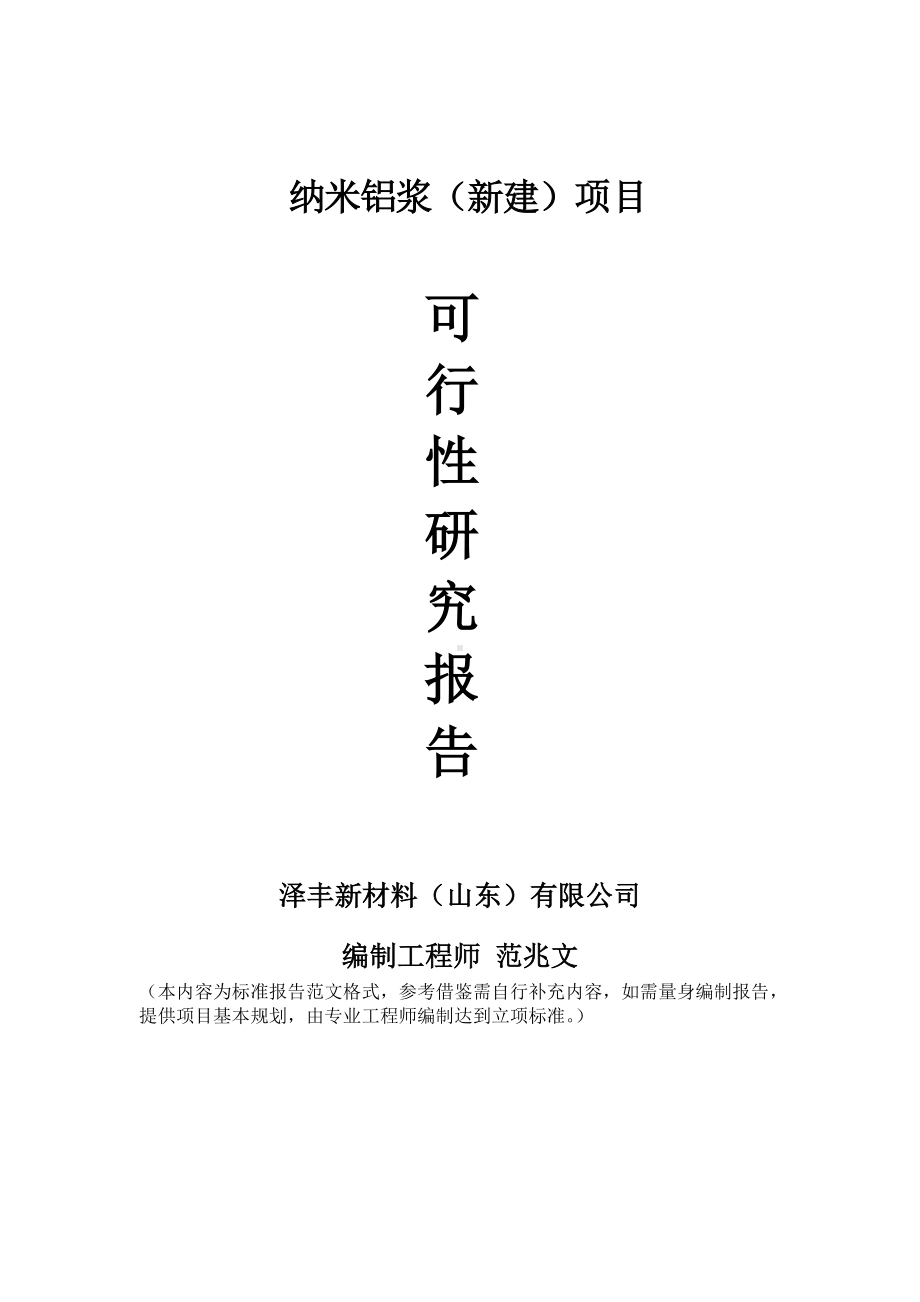 纳米铝浆建议书可行性研究报告备案可修改案例模板.doc_第1页