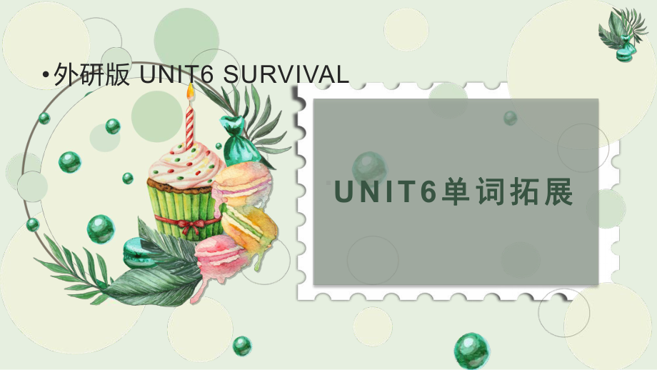 Unit 6 Survival 词汇（ppt课件）-2024新外研版（2019）《高中英语》选择性必修第二册.pptx_第1页