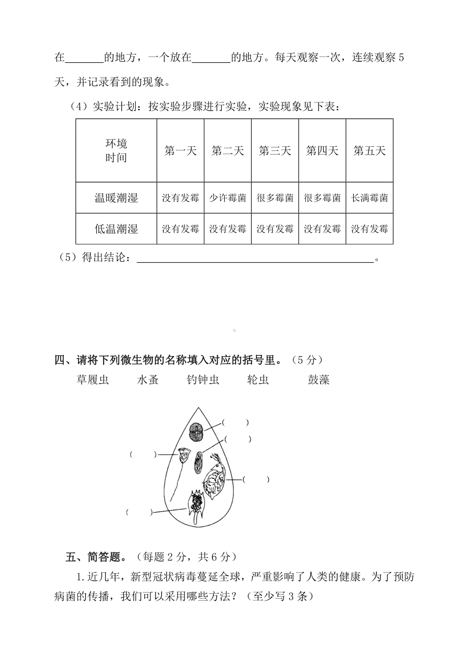 2024新苏教版五年级下册《科学》第一单元显微镜下的生命世界 测试题（含答案）.doc_第3页