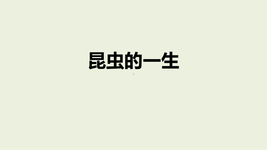 2.4 昆虫的一生 ppt课件（12张PPT）-2024新湘科版四年级下册《科学》.pptx_第1页