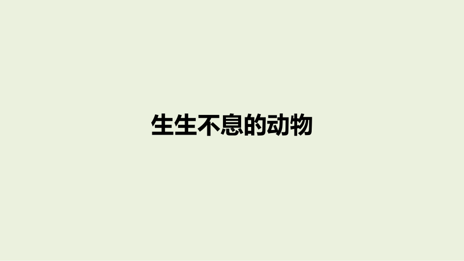 2.5 生生不息的动物 ppt课件（12张PPT）-2024新湘科版四年级下册《科学》.pptx_第1页