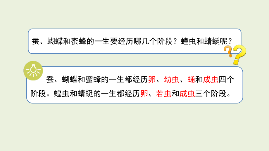 2.5 生生不息的动物 ppt课件（12张PPT）-2024新湘科版四年级下册《科学》.pptx_第2页