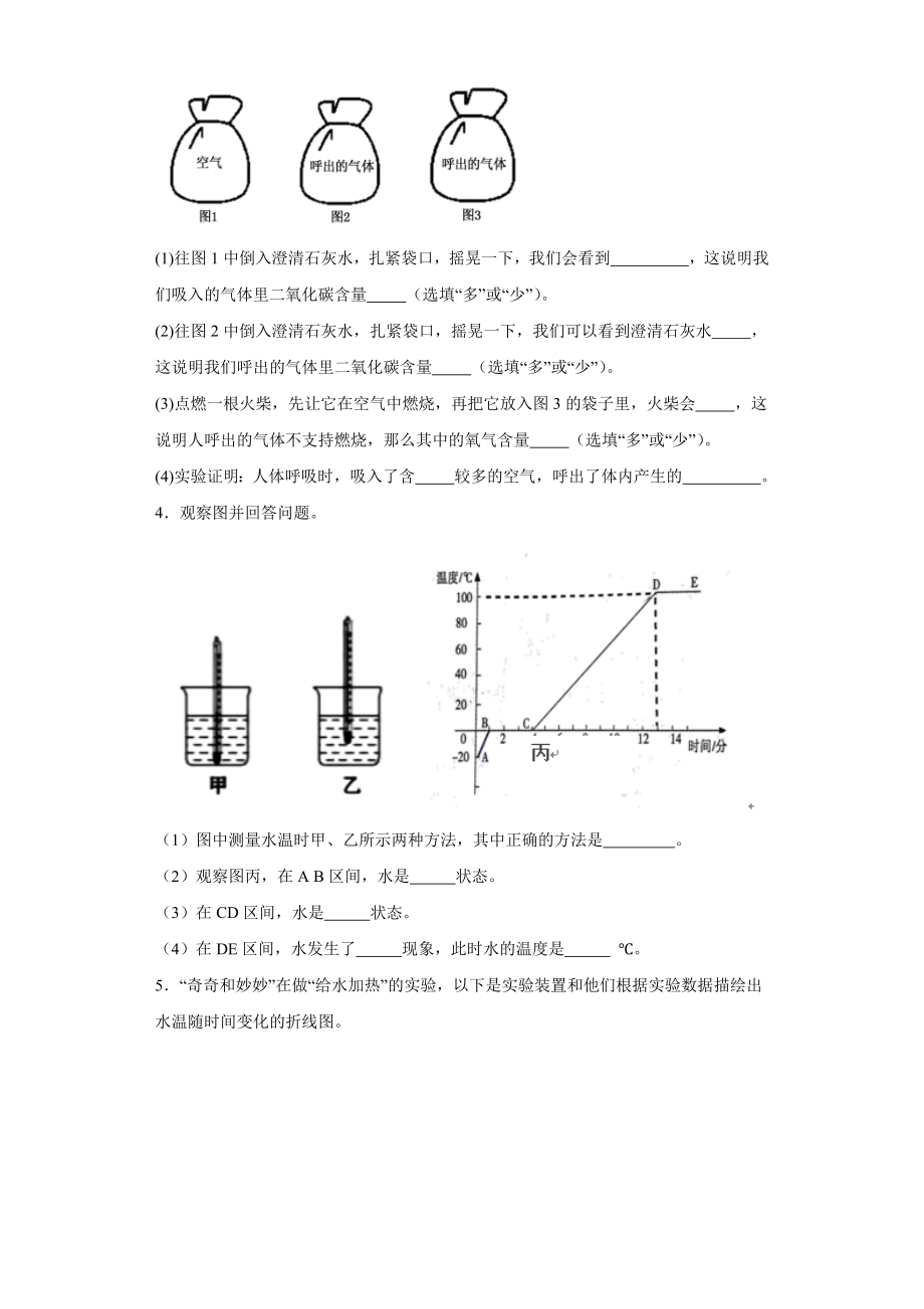 2024新大象版四年级上册《科学》期末实验综合专题训练（含答案）.docx_第2页