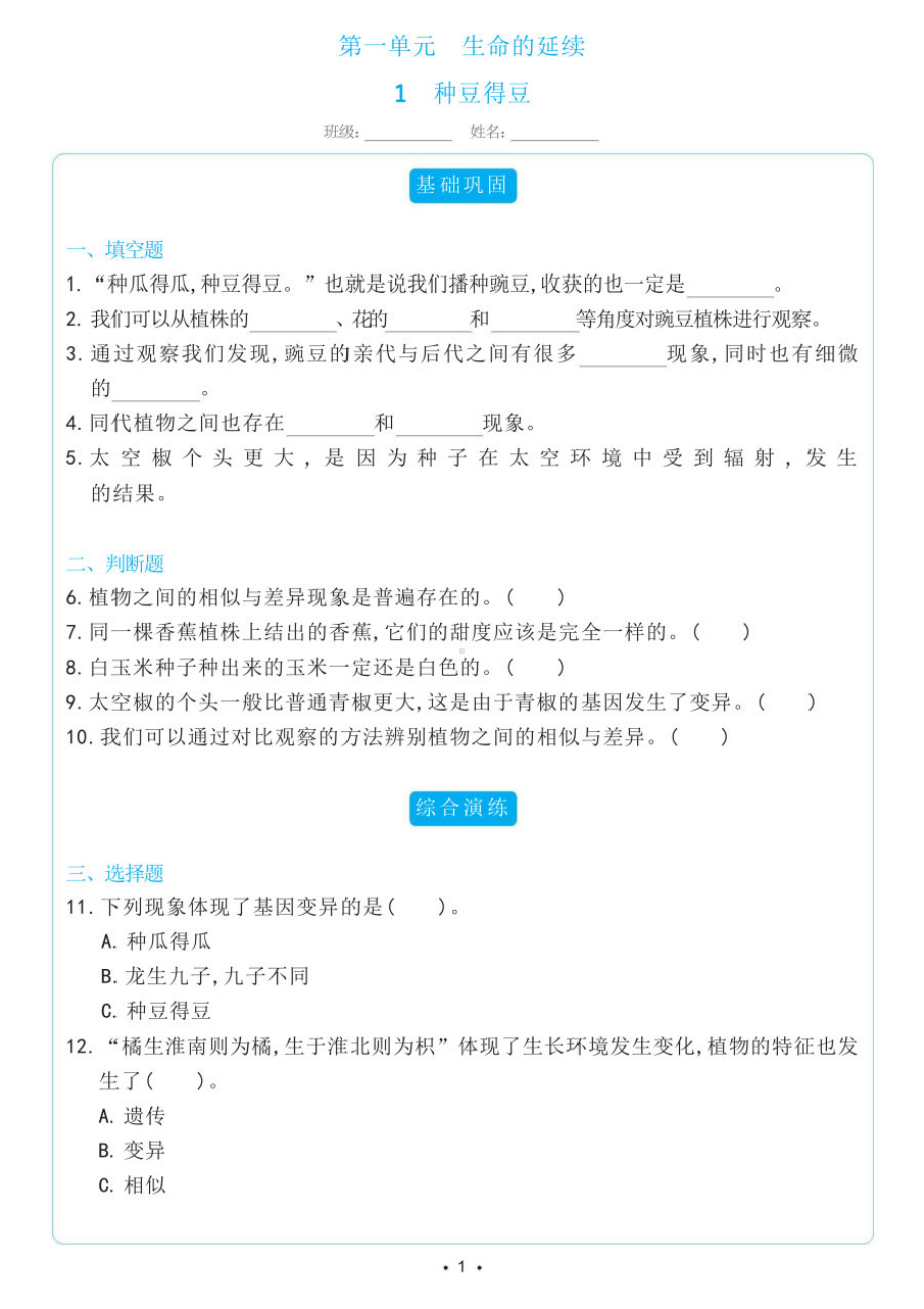 2024新冀人版六年级上册《科学》同步练习全册（含答案）.pdf_第1页