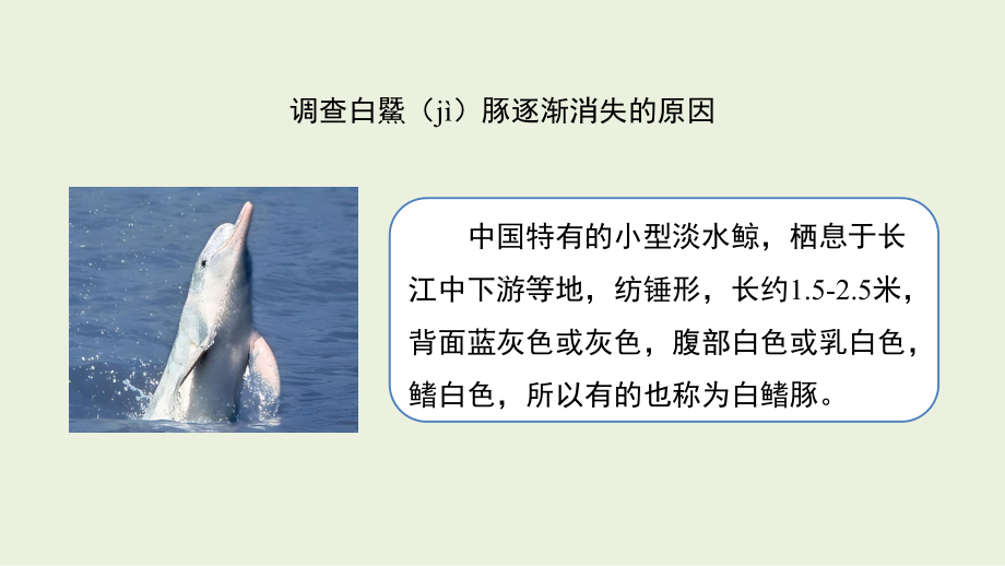 3.4 人类对生物的影响 ppt课件（12张PPT）-2024新湘科版四年级下册《科学》.pptx_第2页