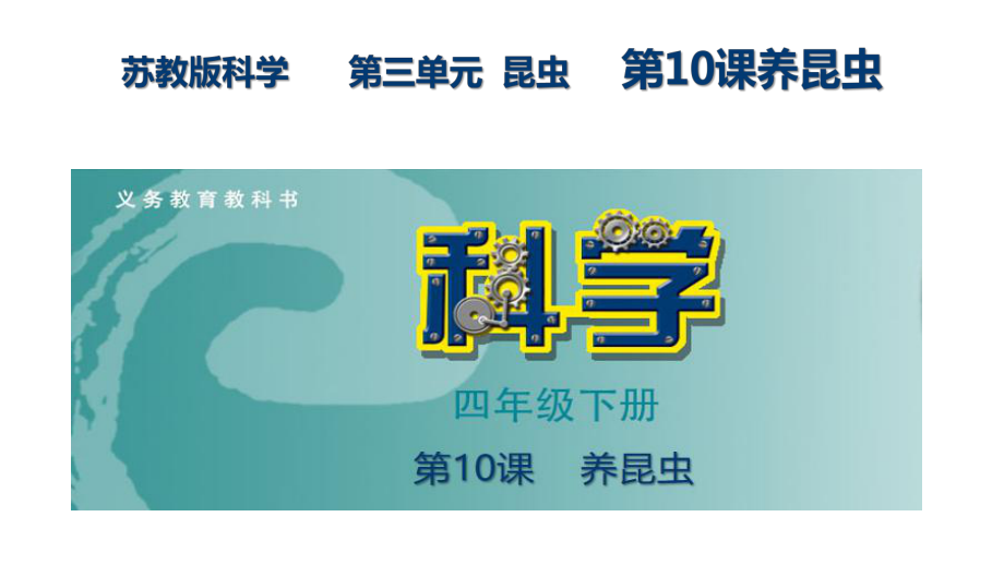 3.10养昆虫 (共22张PPT)ppt课件-2024新苏教版四年级下册《科学》.pptx_第1页