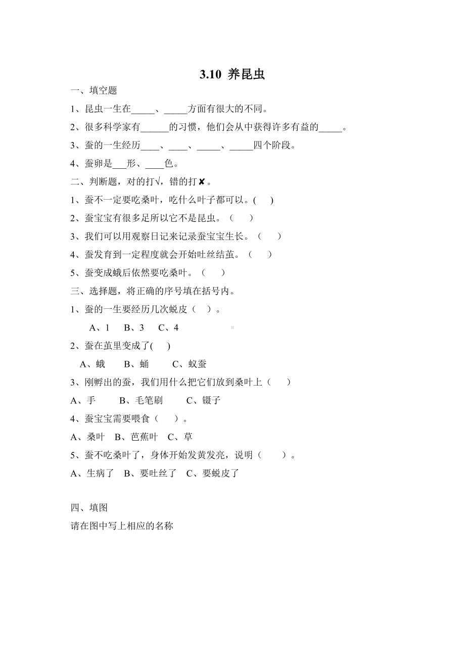 10 养昆虫（含答案）（同步作业）-2024新苏教版四年级下册《科学》.docx_第1页