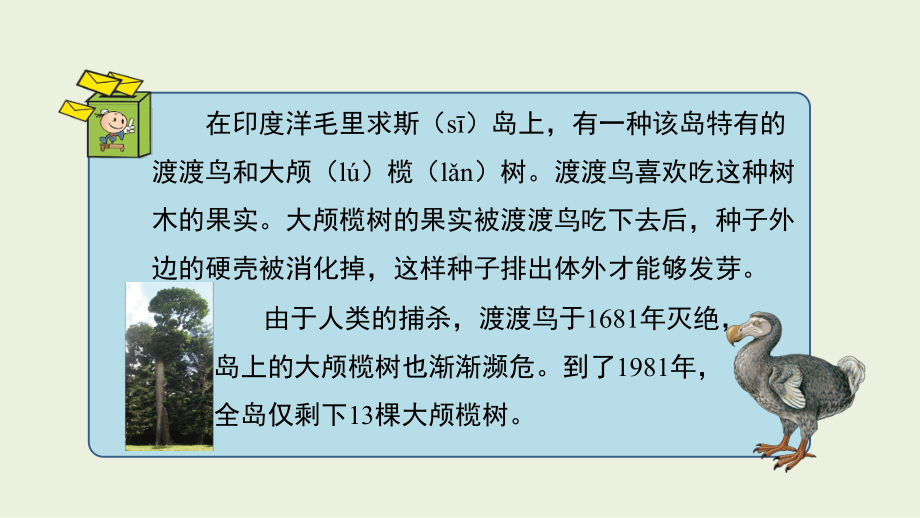 3.3 互相依存的动植物 ppt课件（13张PPT）-2024新湘科版四年级下册《科学》.pptx_第2页