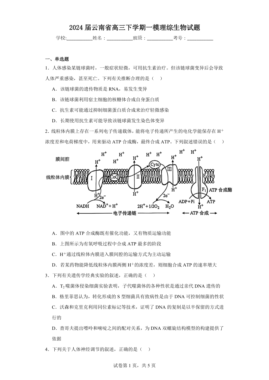 2024届云南省高三下学期一模理综生物试题.docx_第1页