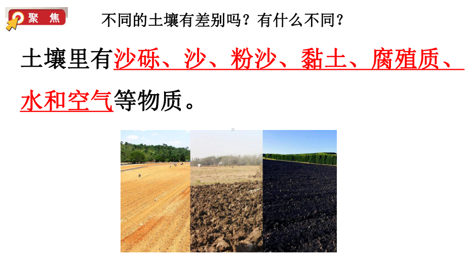 7比较不同的土壤ppt课件(共20张PPT)-2024新教科版四年级下册《科学》.pptx_第2页