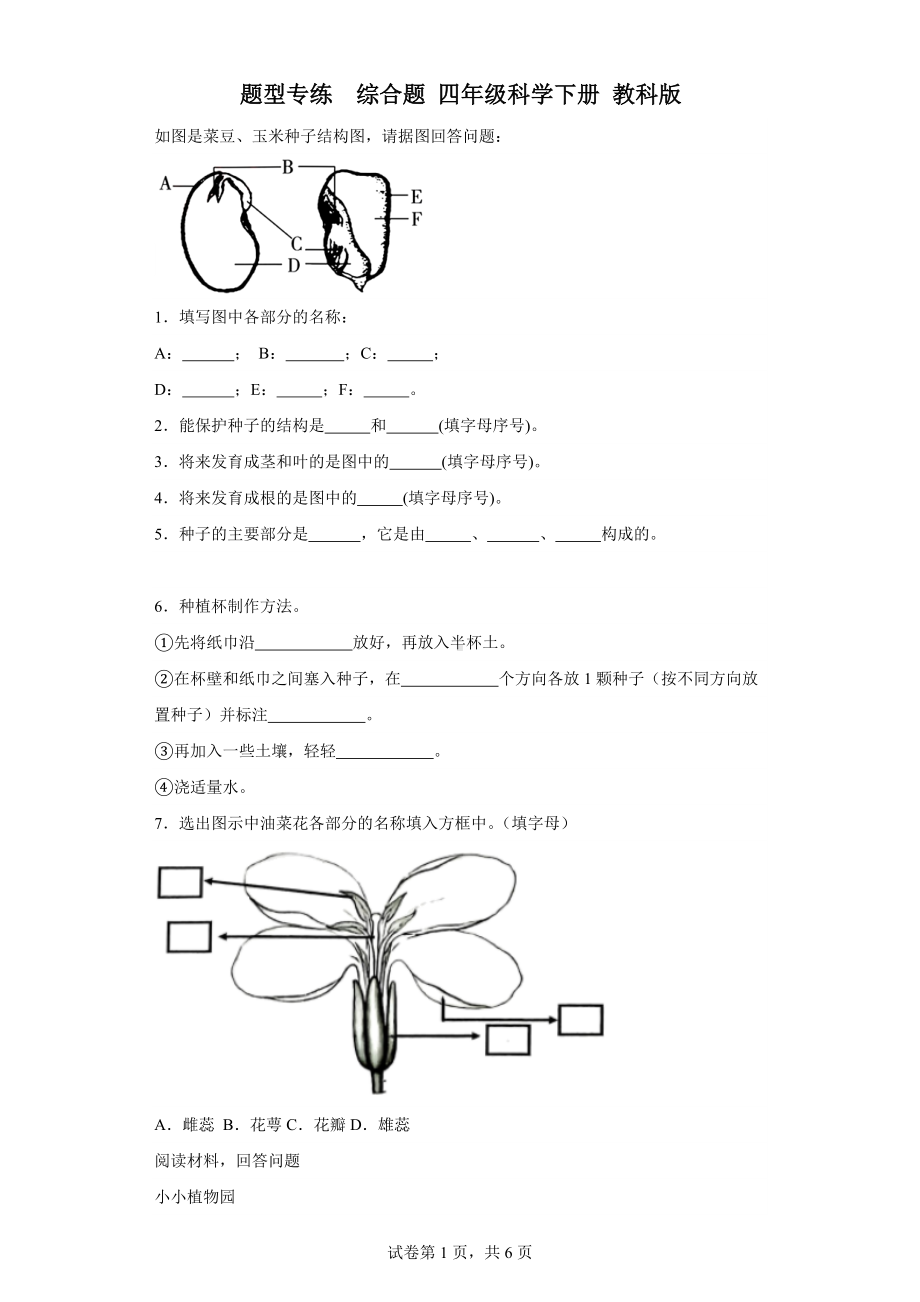 2024新教科版四年级下册《科学》题型专练综合题（含答案）.docx_第1页