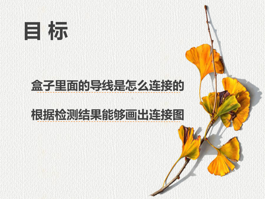 2.5里面是怎样连接的（ppt课件）(共23张PPT)-2024新教科版四年级下册《科学》.pptx_第2页