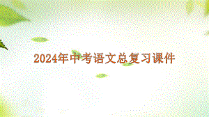 2024年中考语文一轮专题复习：《非连续性文本阅读》（共73张PPT）ppt课件-2024年中考语文复习.pptx