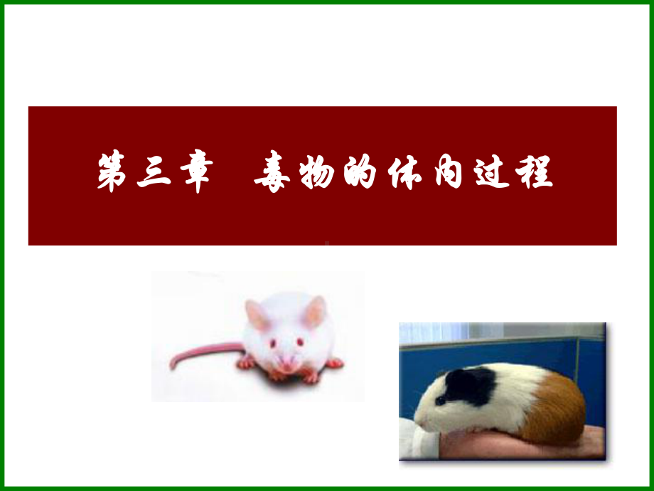 医学检验专业核心课程《毒物分析》第三章毒物在人体内代谢过程.ppt_第1页