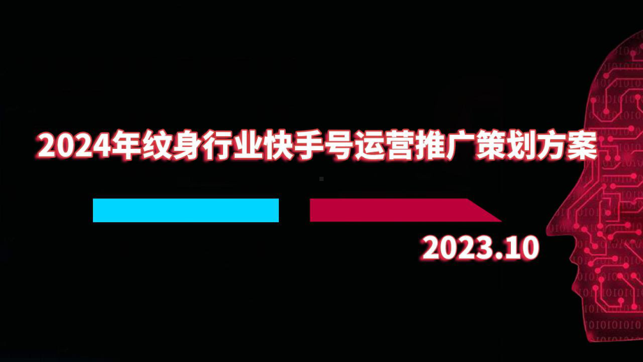 2024年纹身行业快手号运营推广策划方案.pptx_第1页