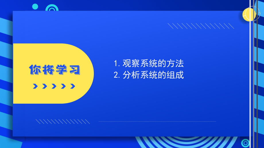 第3课 观察系统-ppt课件(共19张PPT)-2024新浙教版（2023）五年级下册《信息科技》.pptx_第2页