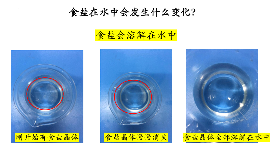 3《水能溶解哪些物质》（教学ppt课件）-20224新大象版三年级下册《科学》.pptx_第2页