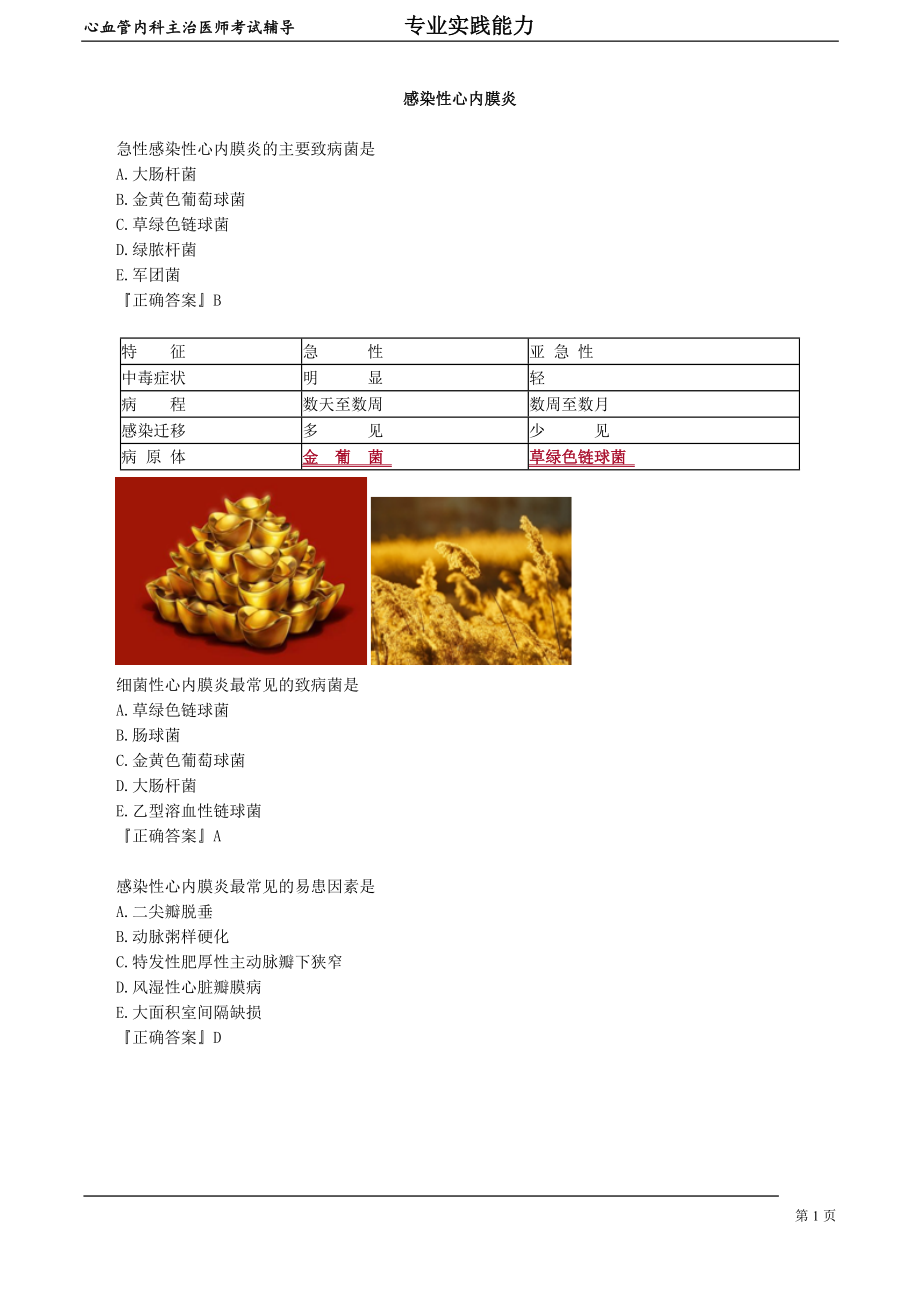 心血管内科主治医师资格笔试专业实践能力考点解析 (9)：感染性心内膜炎.doc_第1页