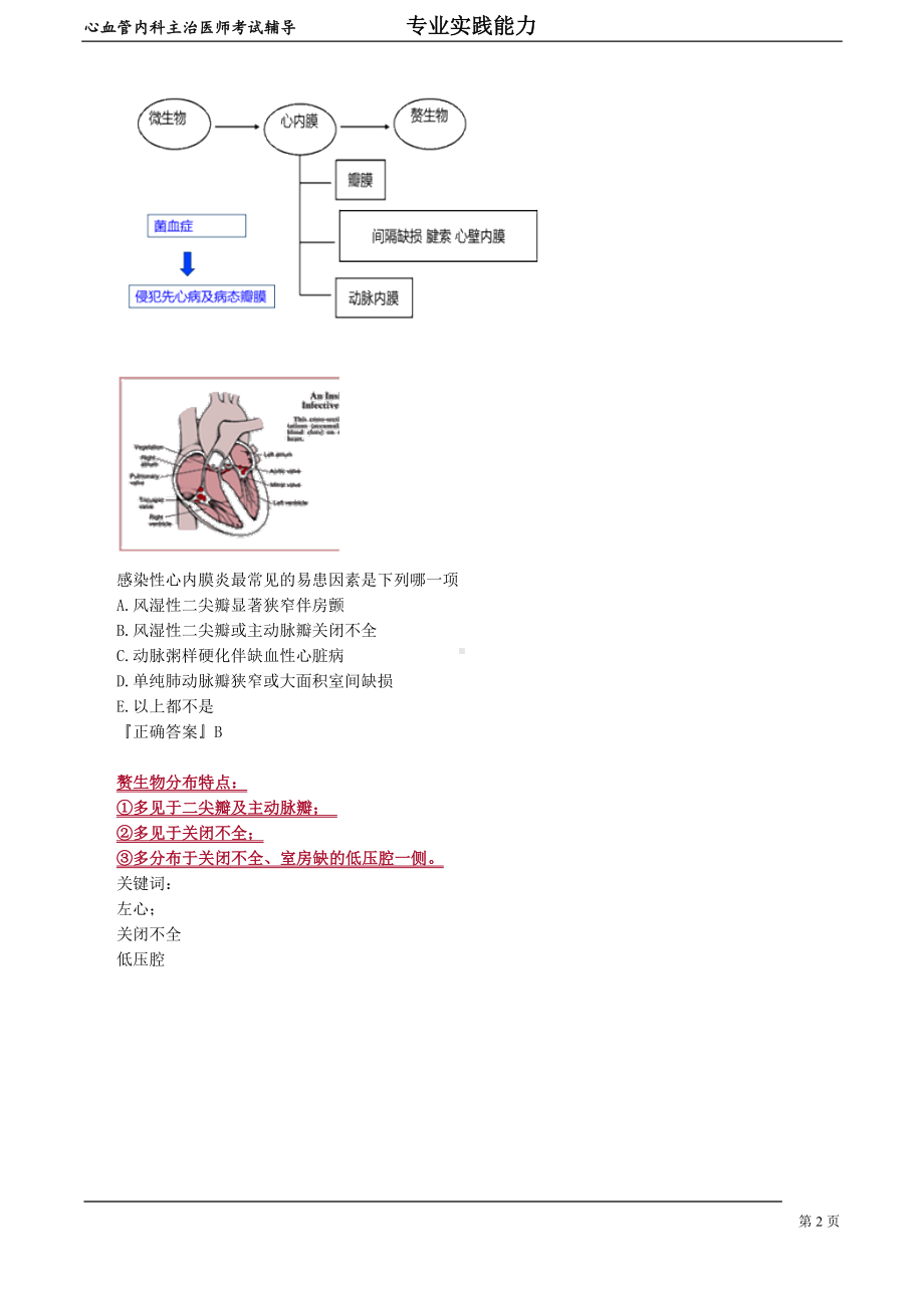 心血管内科主治医师资格笔试专业实践能力考点解析 (9)：感染性心内膜炎.doc_第2页