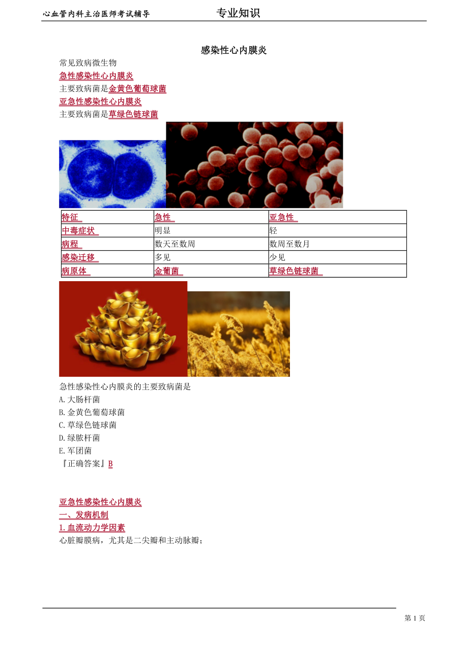 心血管内科主治医师资格笔试专业知识考点解析(8)：感染性心内膜炎.doc_第1页