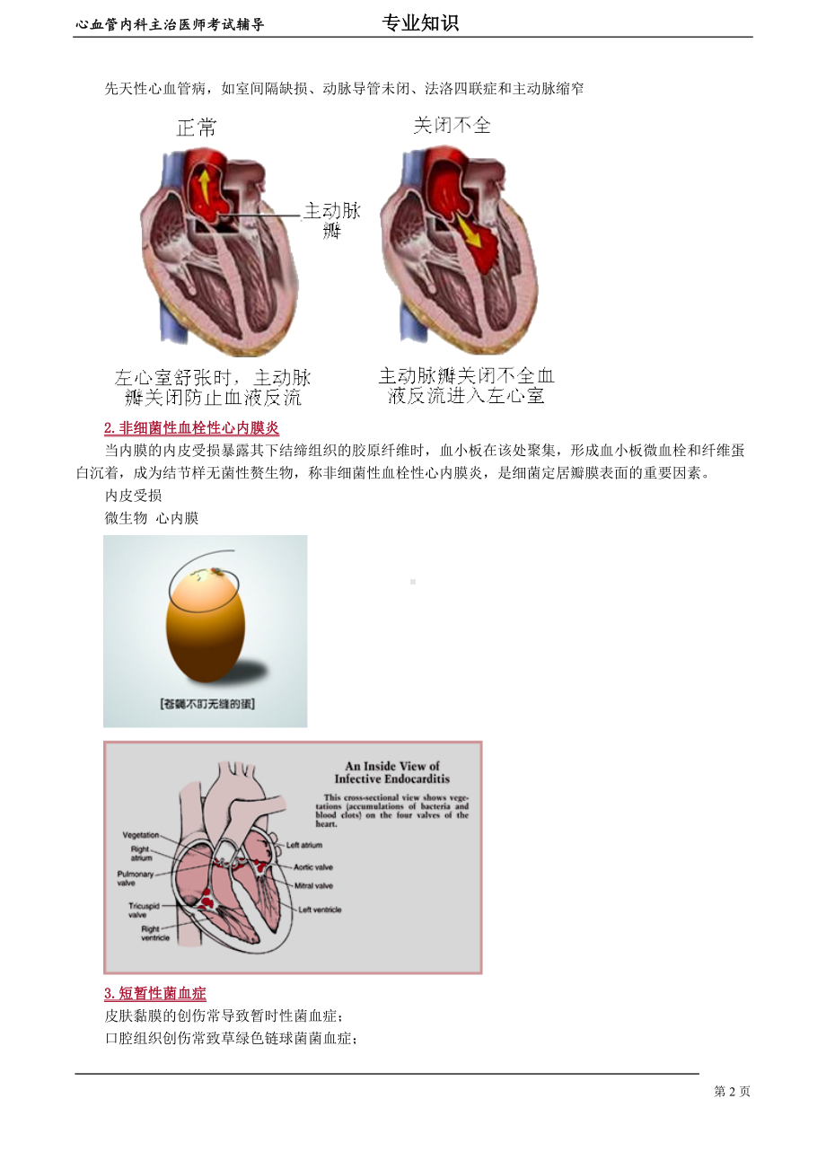 心血管内科主治医师资格笔试专业知识考点解析(8)：感染性心内膜炎.doc_第2页