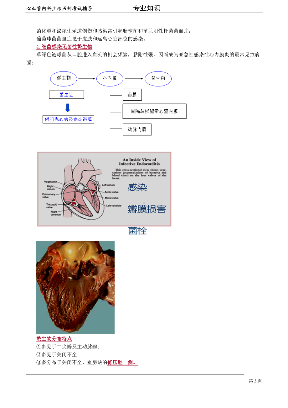 心血管内科主治医师资格笔试专业知识考点解析(8)：感染性心内膜炎.doc_第3页